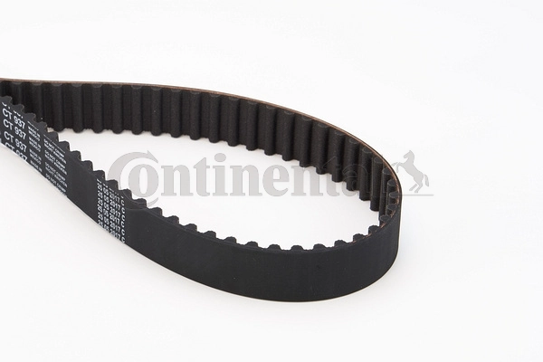 Timing Belt
